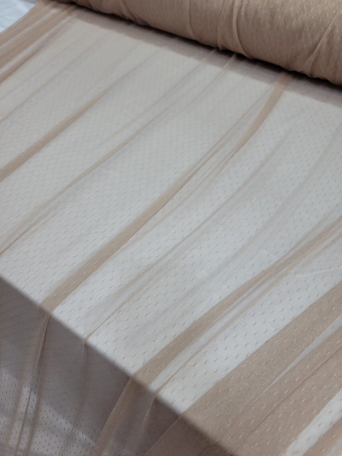 Embroidered Polka Dot Mesh Fabric Beige Champagne
