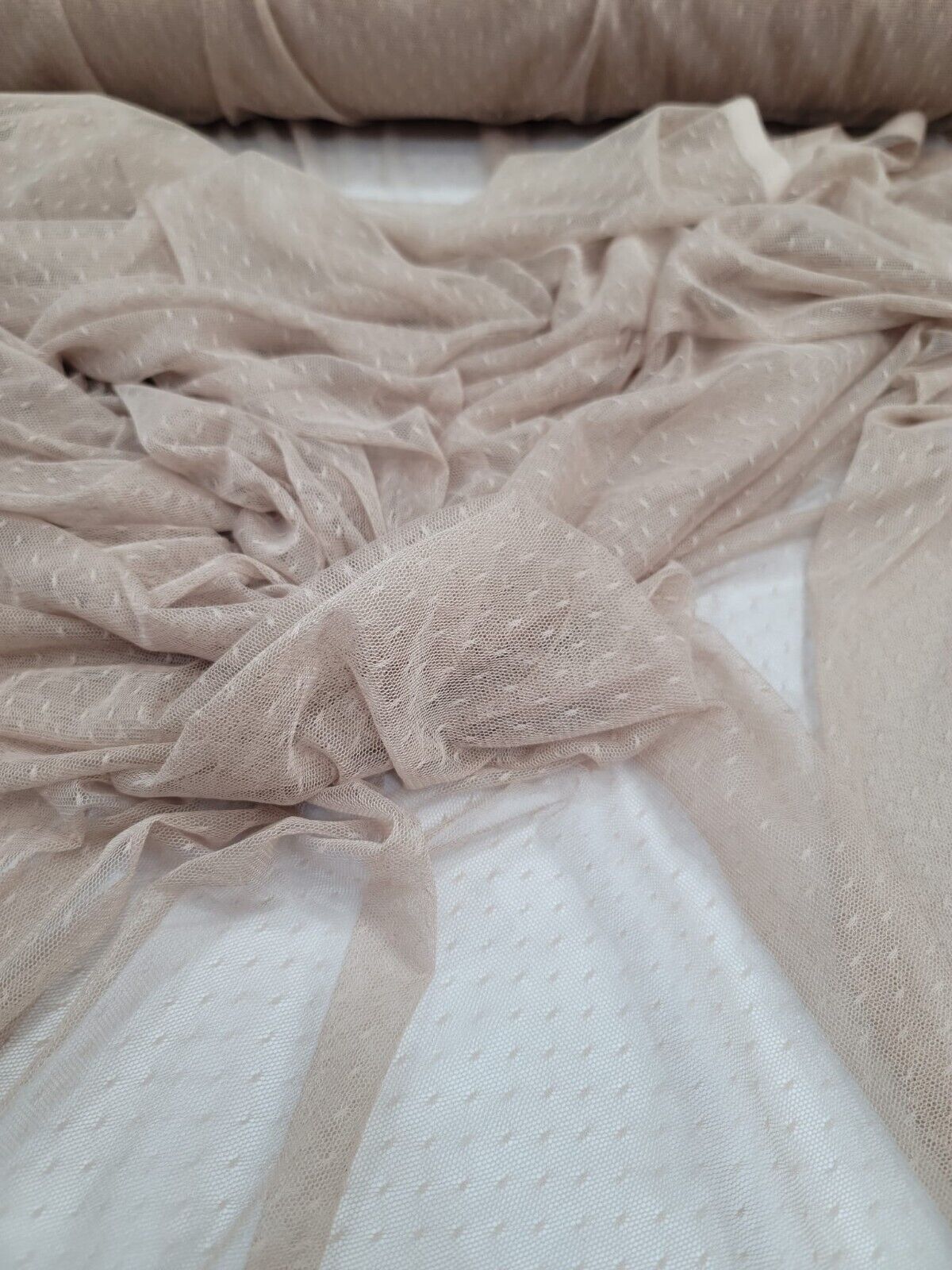 Embroidered Polka Dot Mesh Fabric Beige Champagne