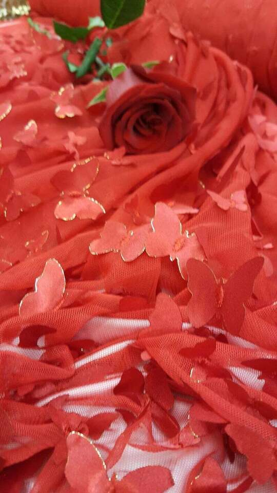 3D Satin Butterfly Embroidered Lace Red