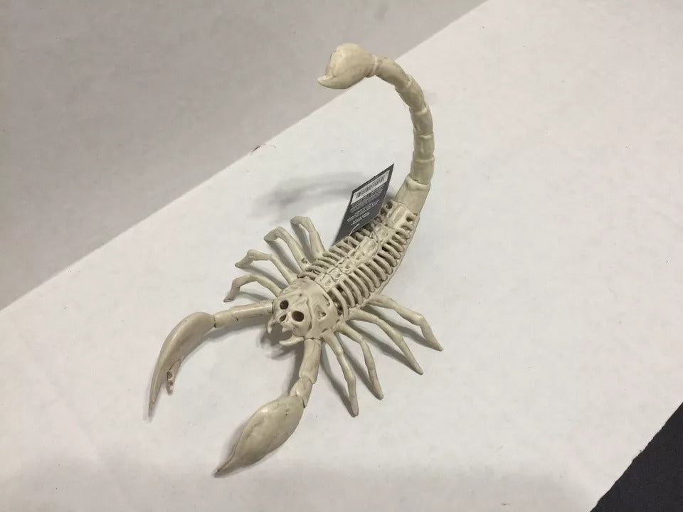 Skeleton Scorpion Halloween Decoration, 9 in.