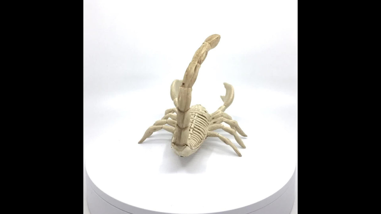 Skeleton Scorpion Halloween Decoration, 9 in.