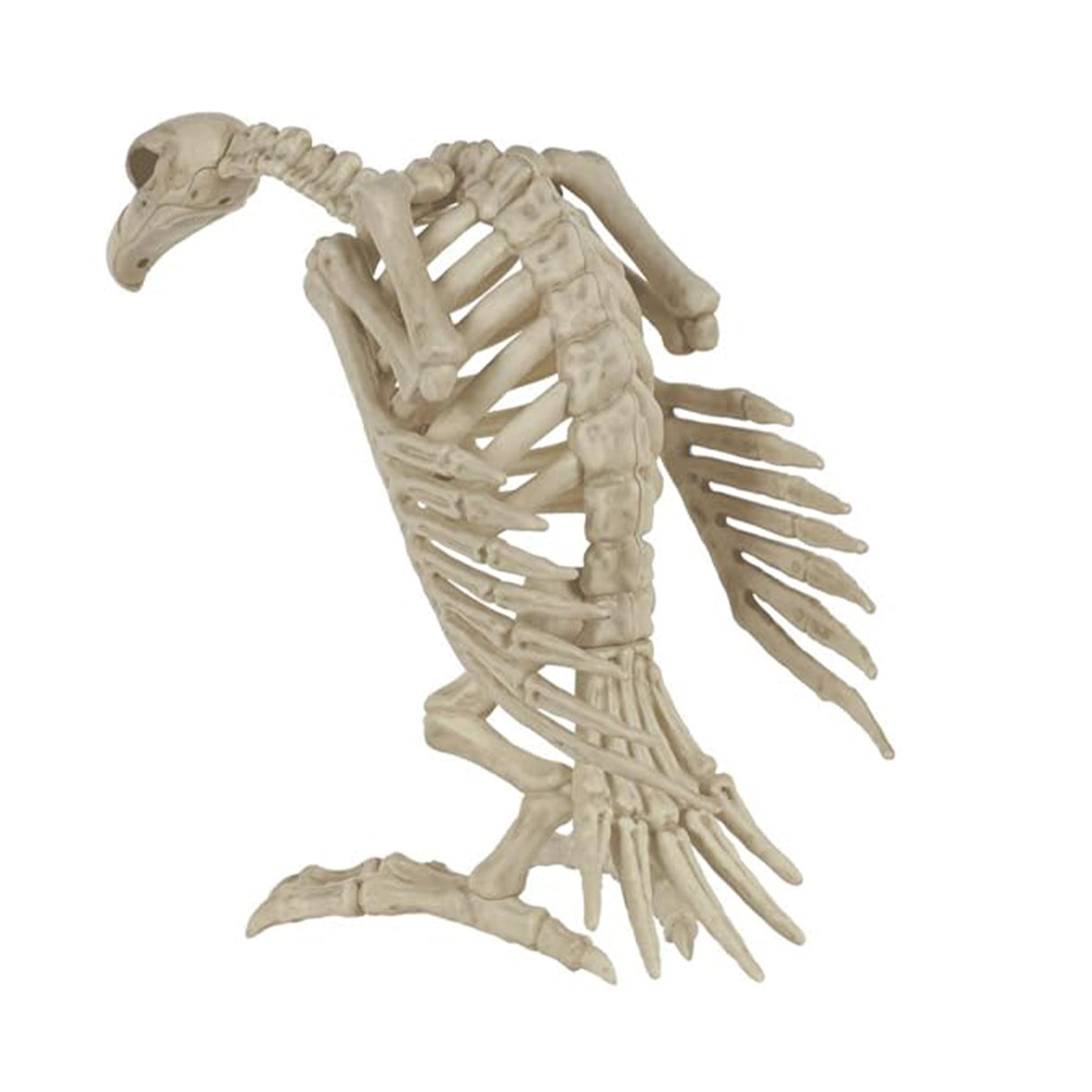 Skeleton Vulture Halloween Decoration, 10 x 17 x 5 in