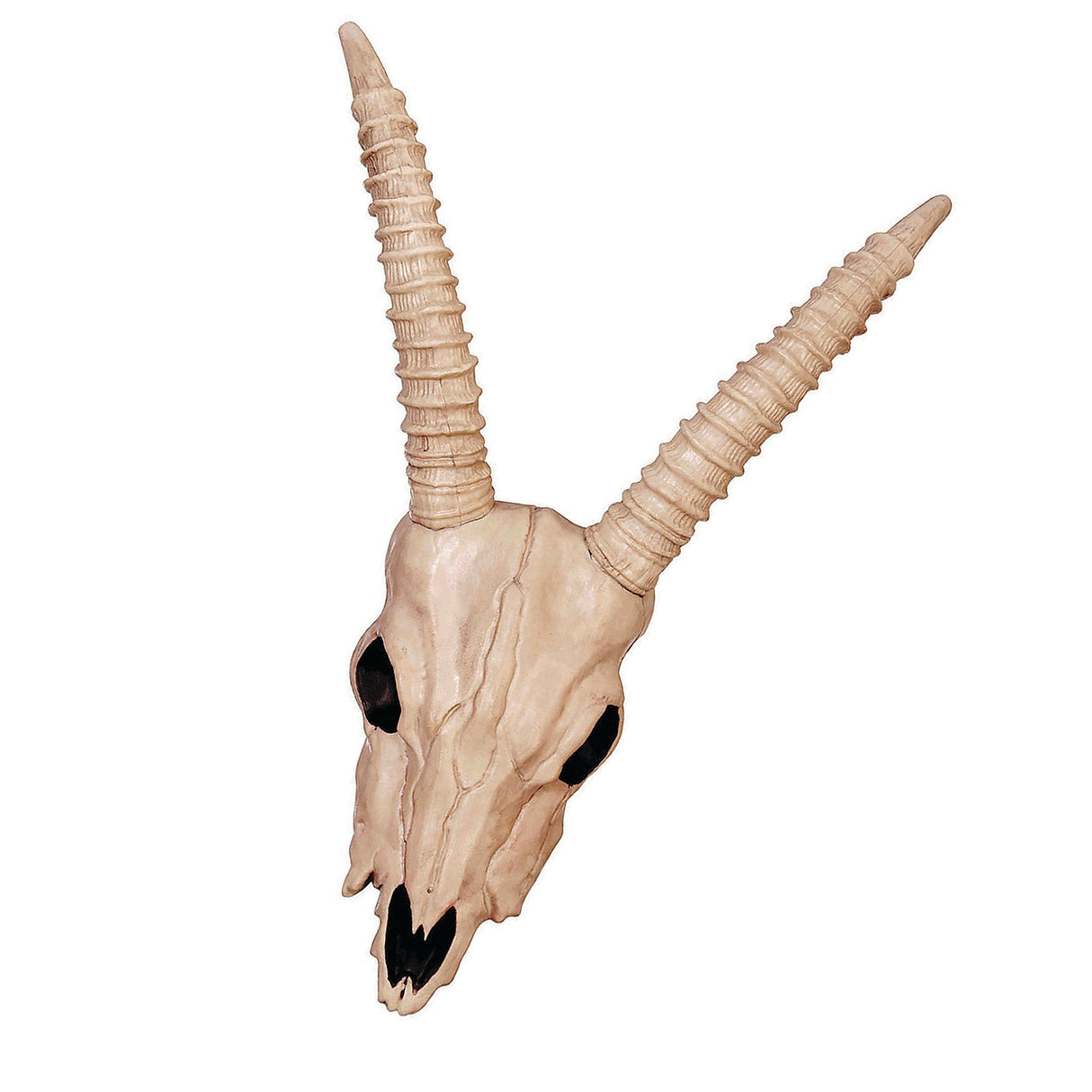 Skeleton Gazelle Head – 18" Halloween Skull Decoration