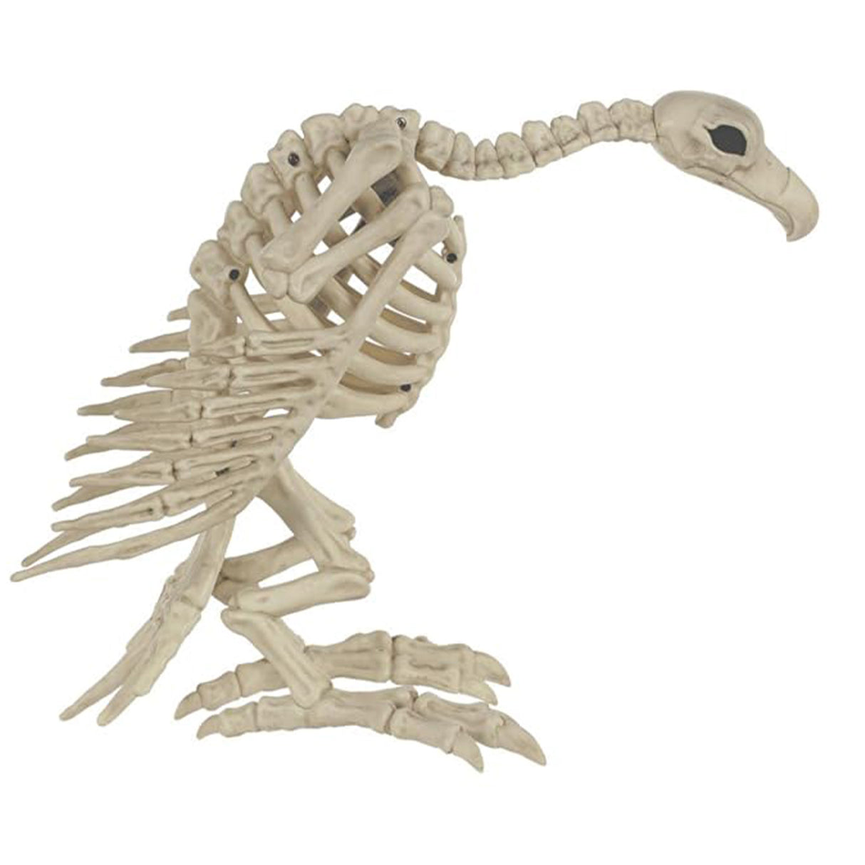 Skeleton Vulture Halloween Decoration, 10 x 17 x 5 in