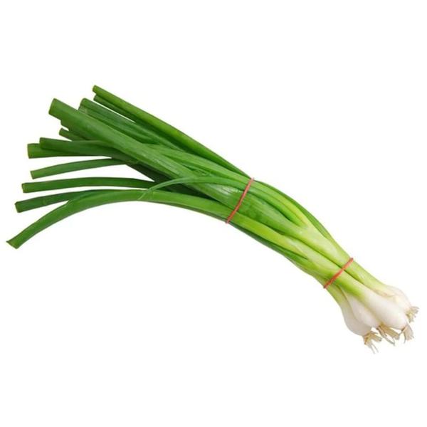 Scallion