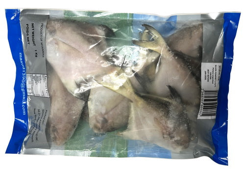 Silver Pomfret (IQF)-1KG