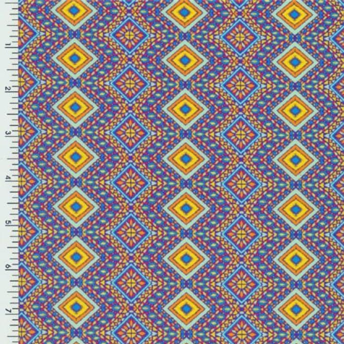 Printed Nylon Spandex Aztec Queen Swimwear