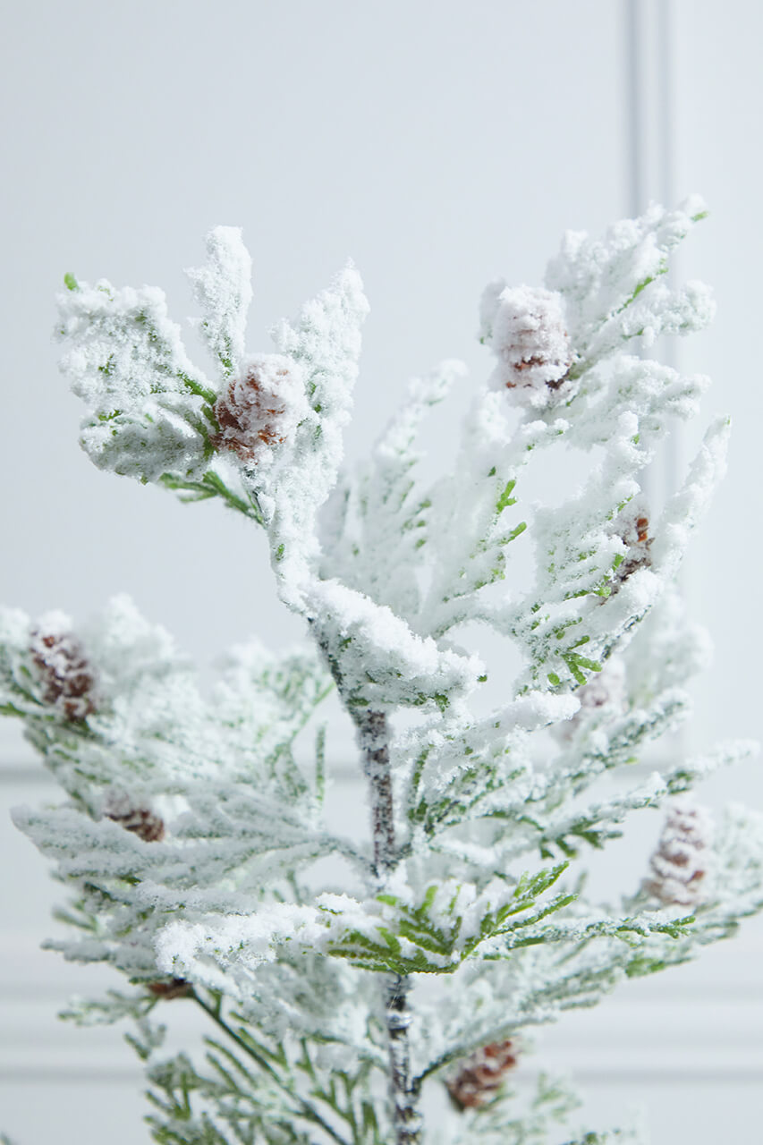 24” Snow Cedar Spray