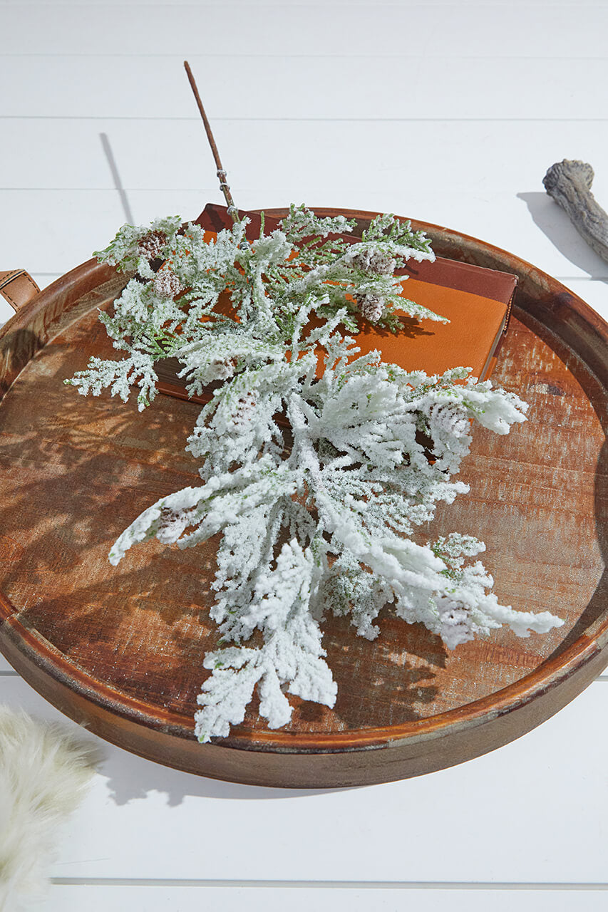 24” Snow Cedar Spray