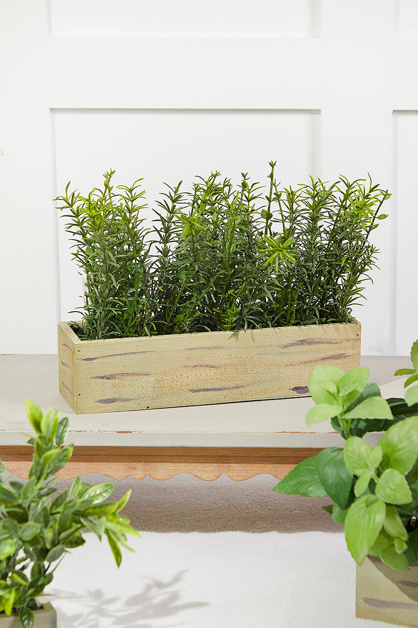 11" Plastic Herbs In Wooden Box