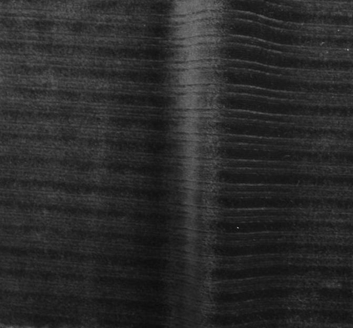 1 Yard Sleek Black Drop Needle Steam Velour Apparel Fabric 58/60" Width