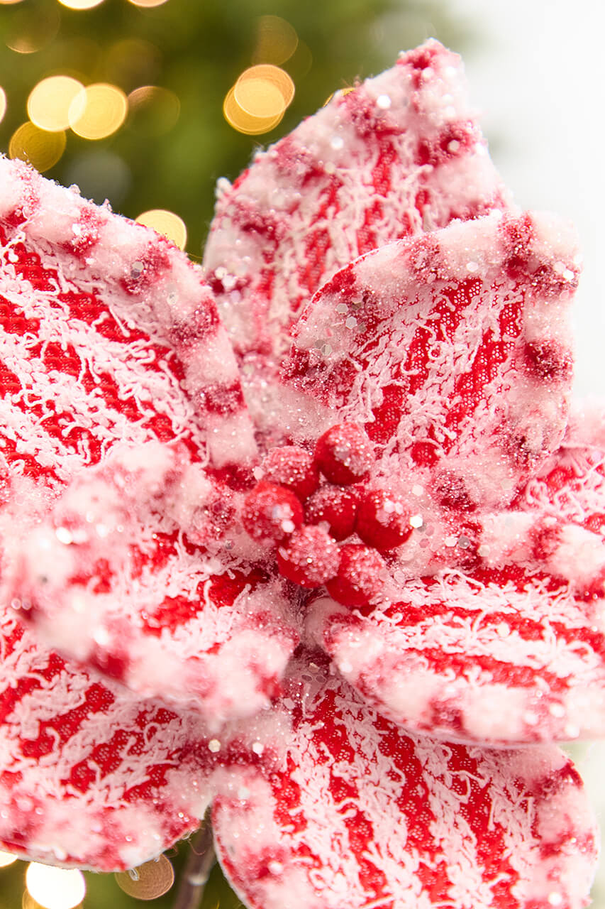 20" x 11" Red & White Poinsettia Stem