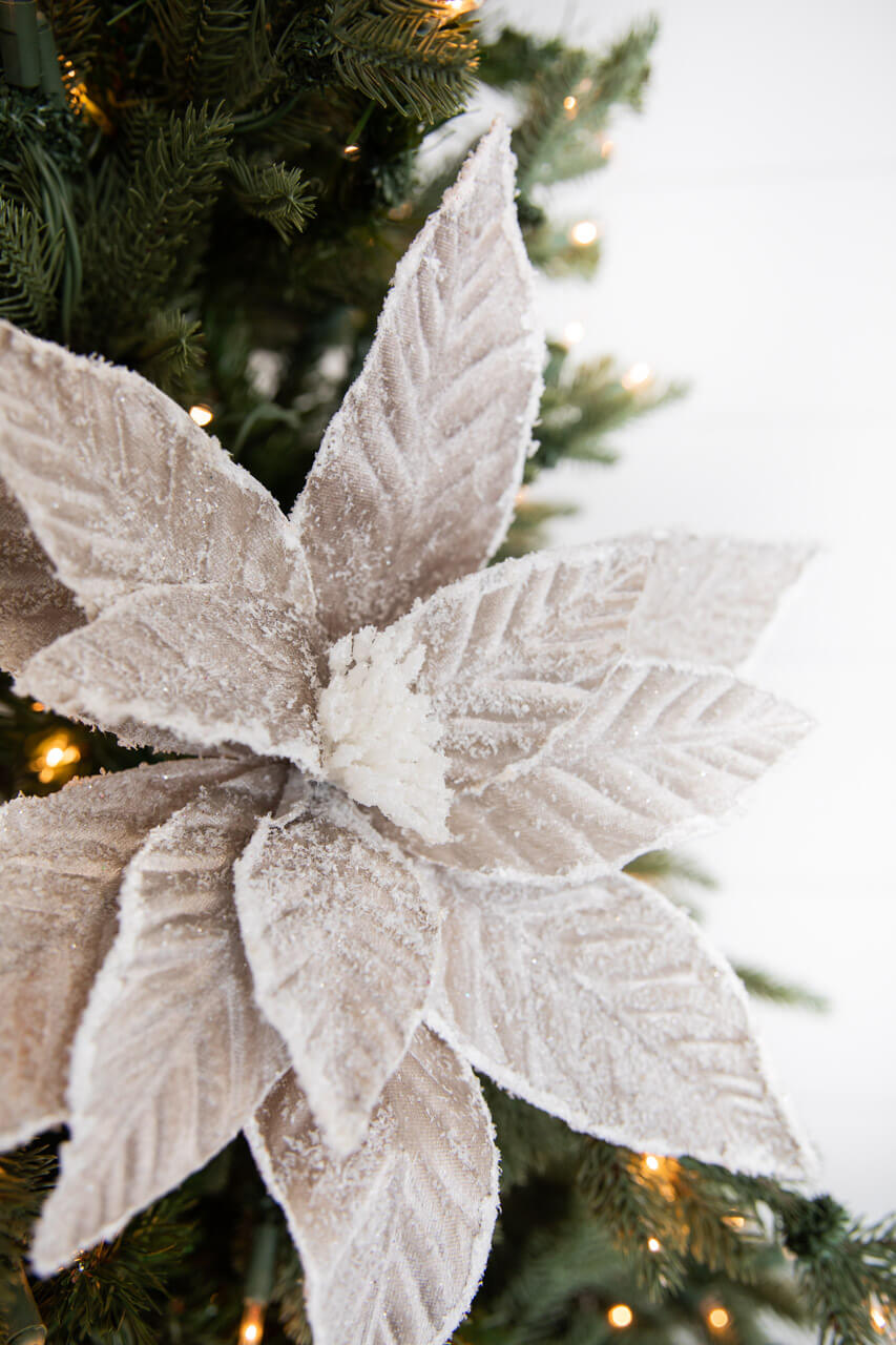 22” x 14.5" Taupe Sugar Poinsettia Stem
