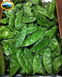 ORGANIC SEAM (BROAD VALOR) (CHEPTA SEAM)