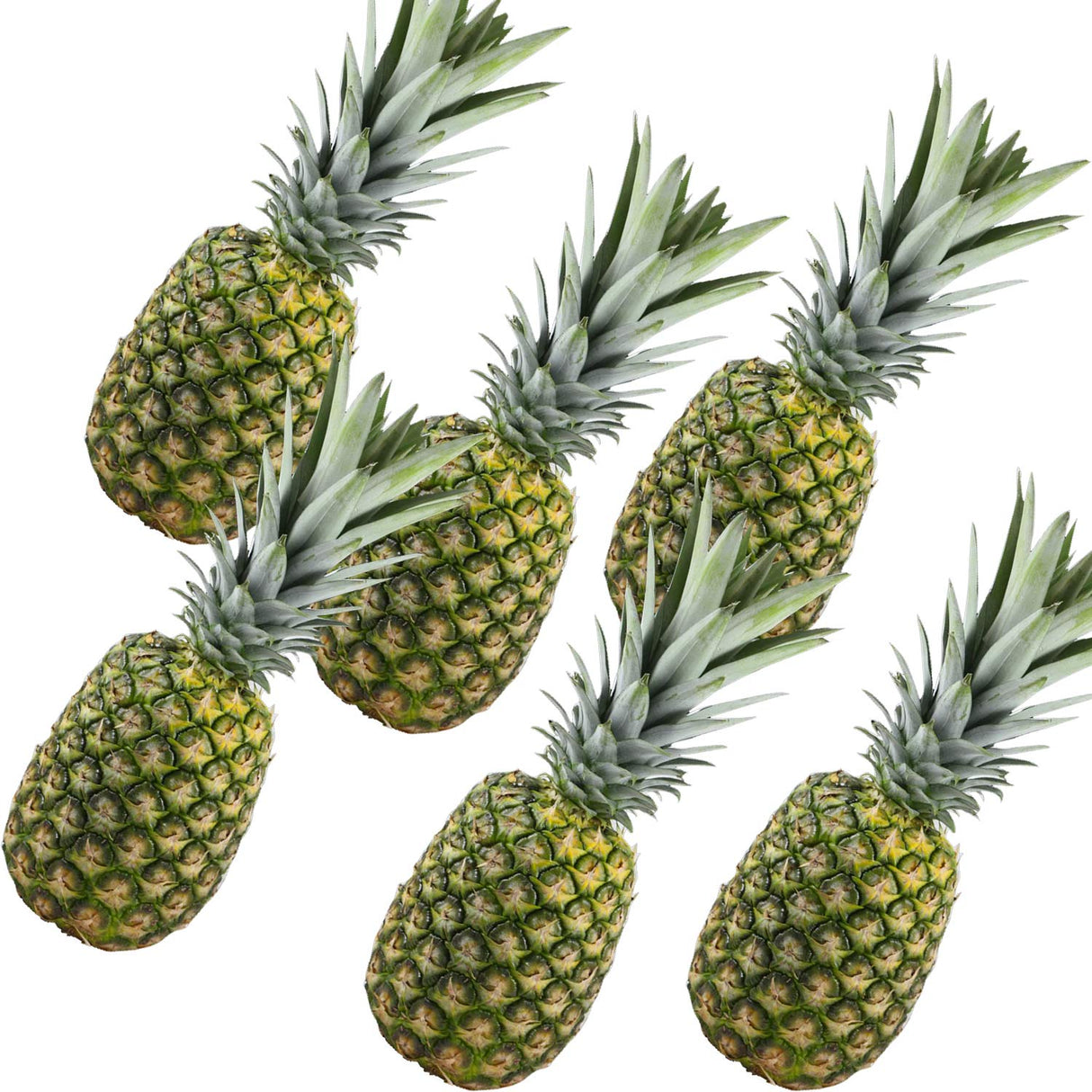 Trader Joe’s Pineapple 1 Each