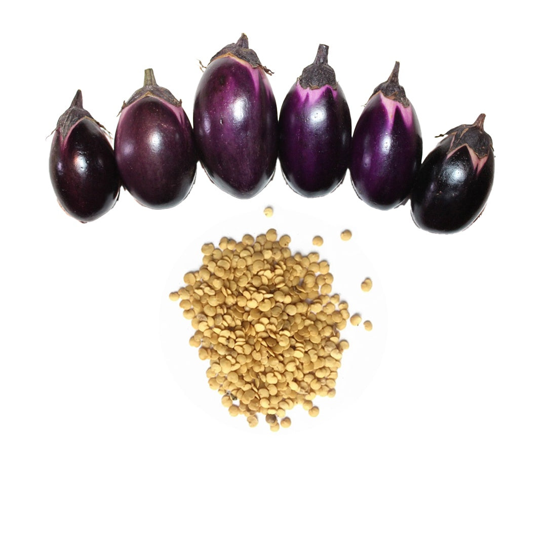 Patio Baby Eggplant Seeds 30 Plus Fresh Organic Seeds for the 2026 Season