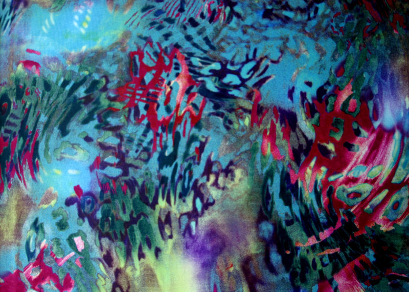 Swim Knit Under the Sea Nylon Lycra Fabric