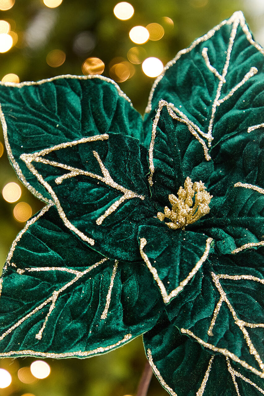 22" x 12.25" Emerald & Gold Velvet Poinsettia Stem