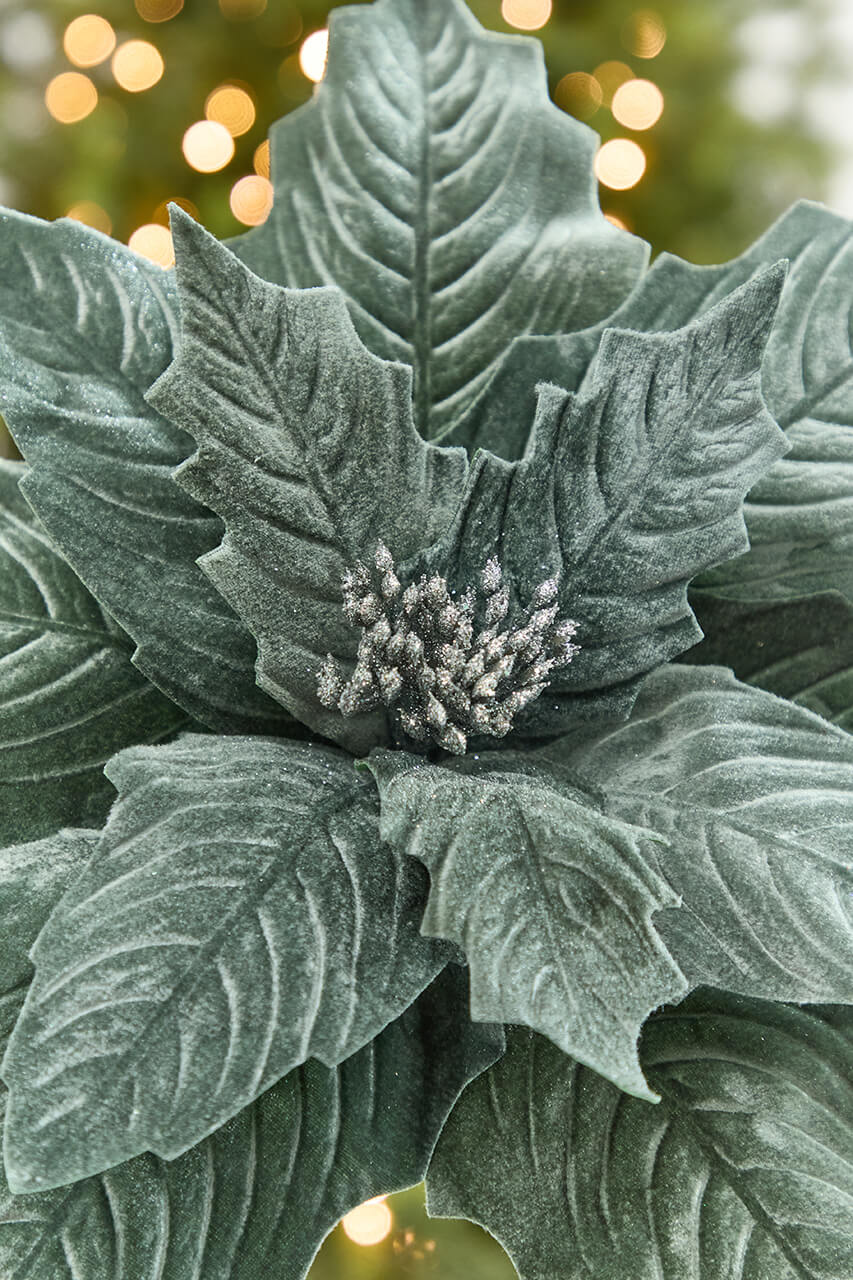 20" x 17" Giant Dusty Blue Poinsettia Stem