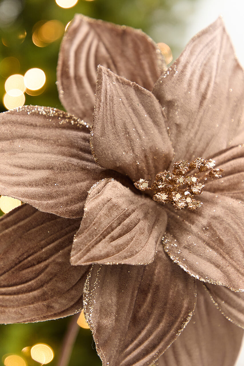 22" x 11.5" Light Brown Velvet Glitter Poinsettia Stem