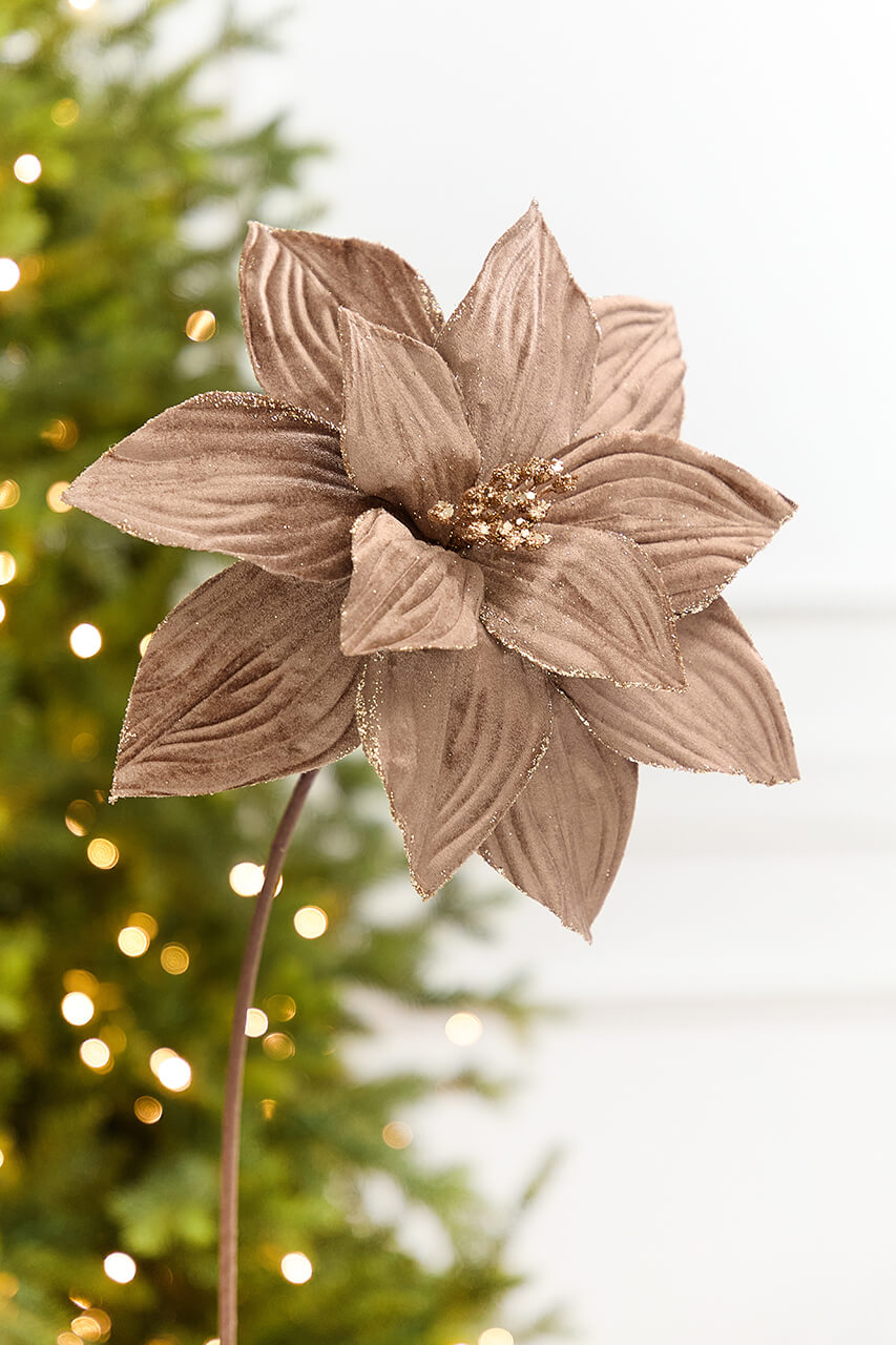 22" x 11.5" Light Brown Velvet Glitter Poinsettia Stem