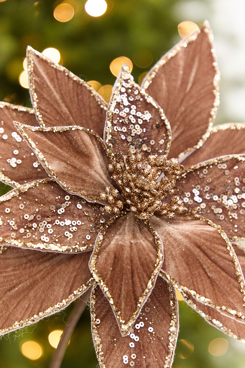 20" x 12" Brown Embellished Poinsettia Stem