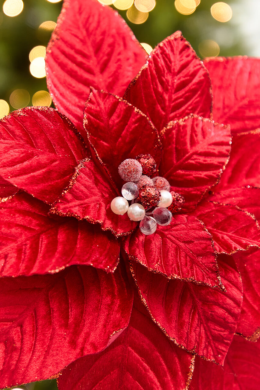 19" x 15" Red Velvet Jewel Poinsettia Stem