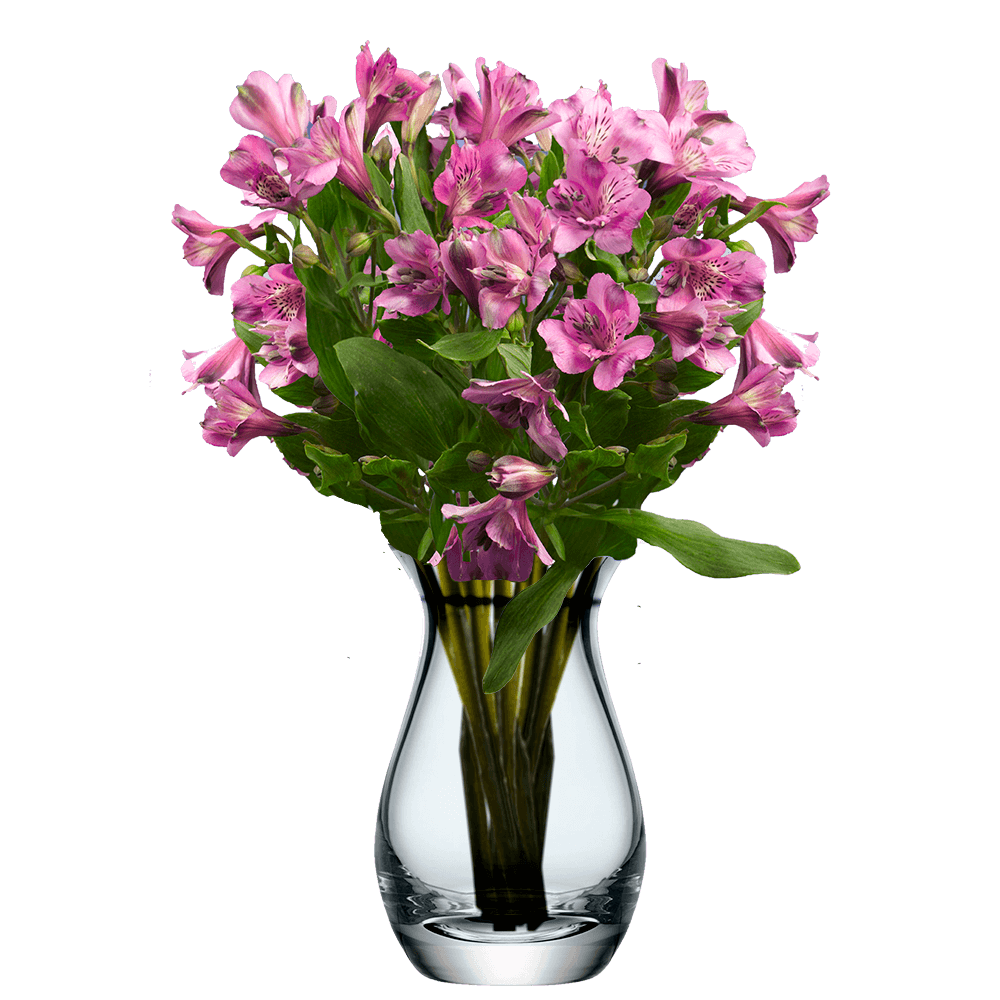 Lavender Alstroemeria Stems Flower Bouquets