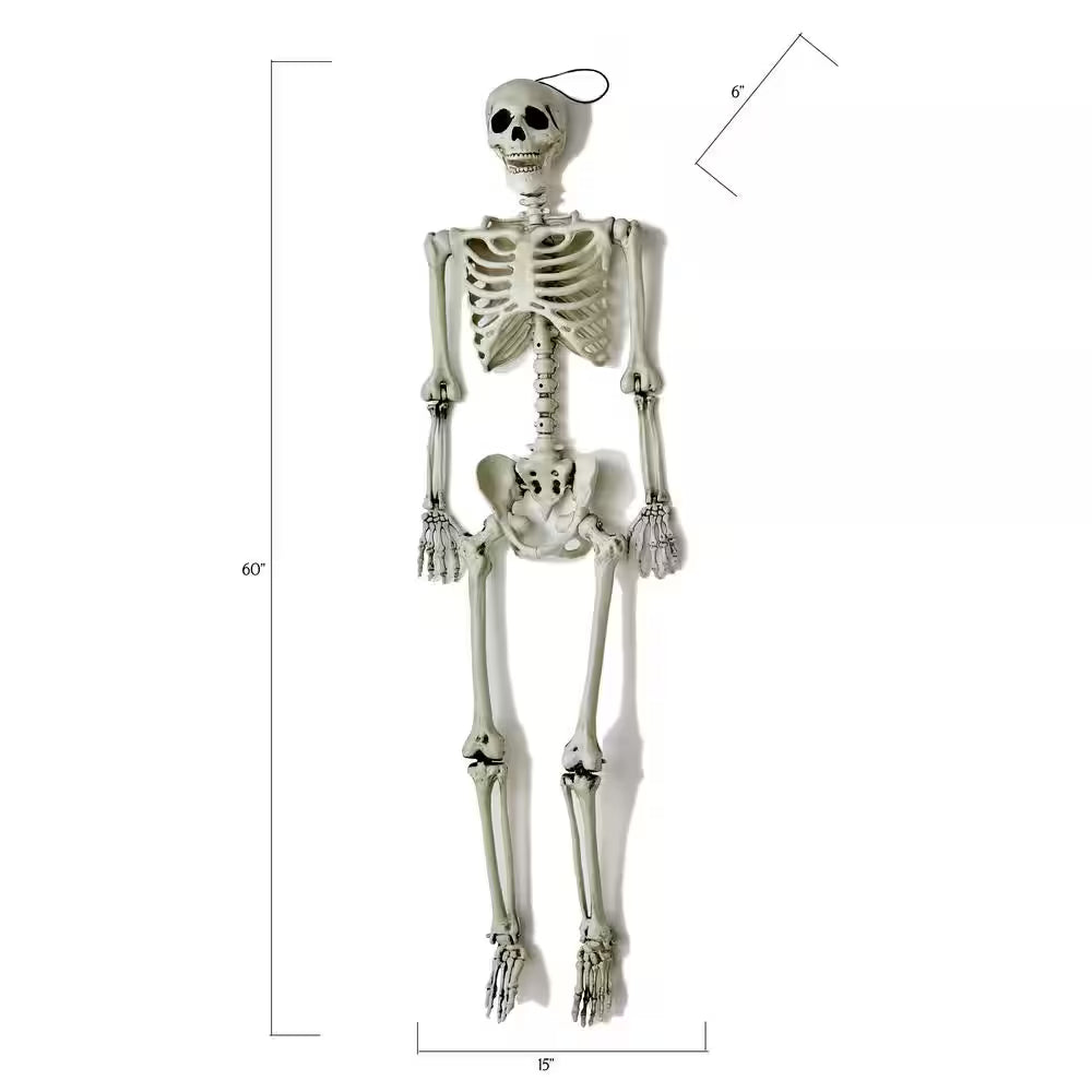 60 in. Life-Size Hanging Skeleton Halloween Decoration