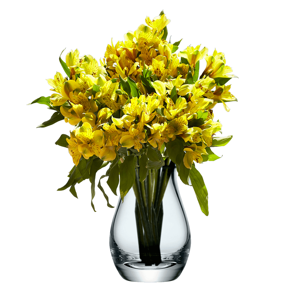 Yellow Alstroemeria Stems Flower Bouquets