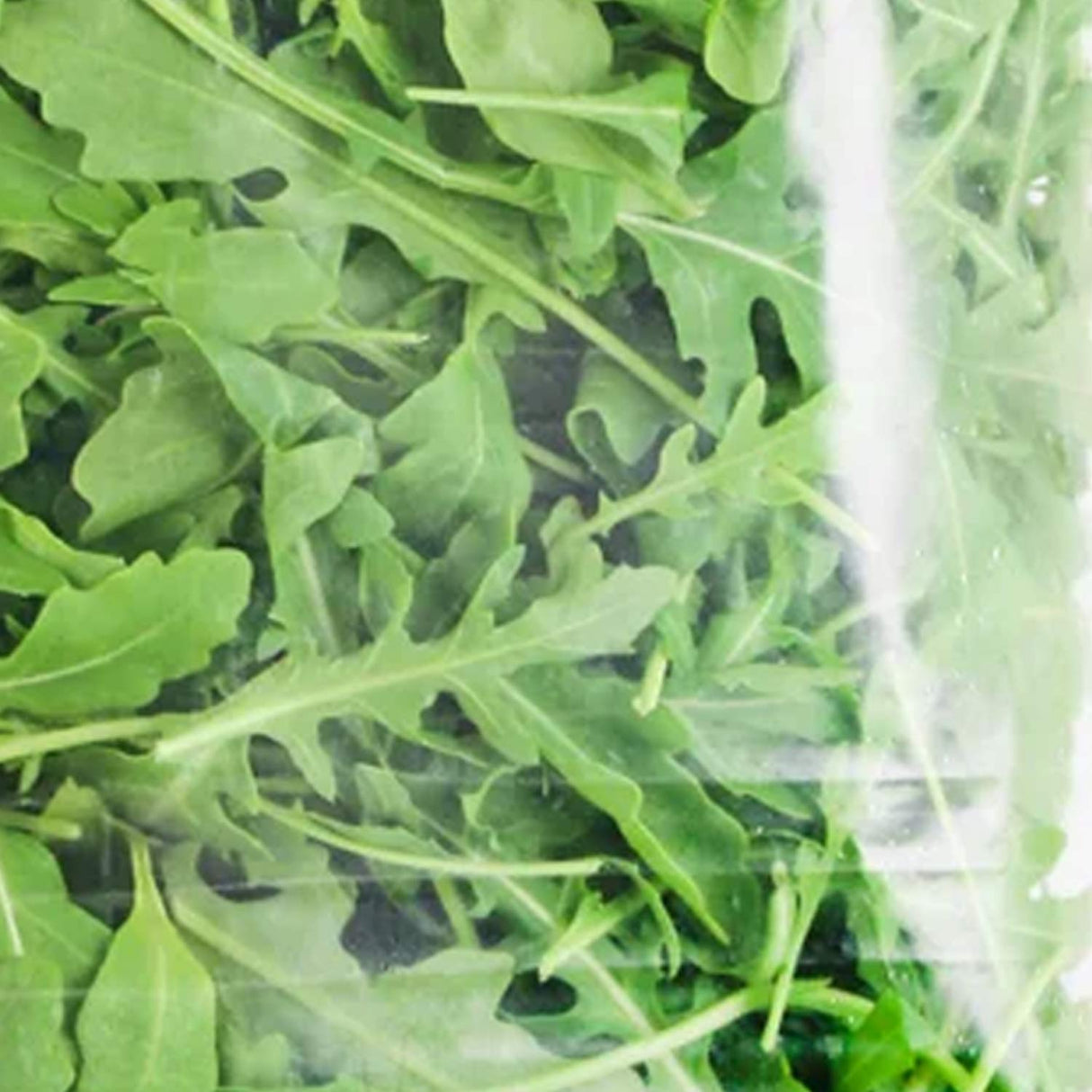 Trader Joe’s Organic Arugula 7 Oz