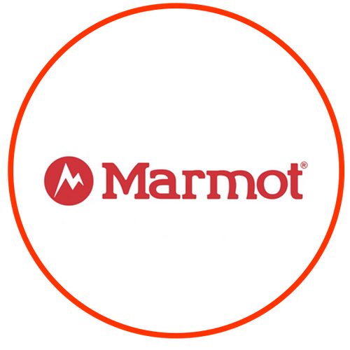 Marmot