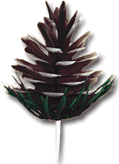 2.5" Pine Cone Picks - 36 count