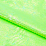 Hologram Spandex Oil Slick Python Fabric