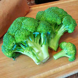 Broccoli Gypsy F1 Seed