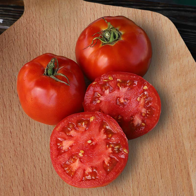 Tomato Jet Star F1 Seed