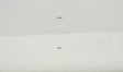 Blackout Lining Polyester Cotton Fabric - Blackout Curtain Liner, Solid, 54" Wide (1 Yard)
