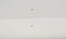 Blackout Lining Polyester Cotton Fabric - Blackout Curtain Liner, Solid, 54" Wide (1 Yard)