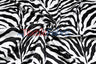 Black White Zebra Satin Fabric - Black White Zebra Print, 58/60" Width
