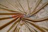 Panne Velvet Polyester Fabric - Crush Panne Velour, Solid, 58/60" Width (1 Yard)
