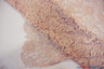 Guipure Bridal Lace Polyester Fabric - Heavy Double Scalloped Lace, Multiple Colors, 48/49" Width (1 Yard)