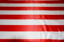 3.5 Inch Stripe Satin Print Polyester Fabric - Multiple Colors, 58/60" Width (1 Yard)