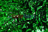 Fish Scale Paillette Sequins Polyester Fabric - 9Mm Sequins, 54" Width, Multiple Colors (1 Yard)