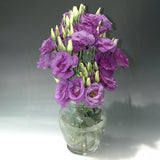 Lisianthus Mariachi Blue F1 Seed