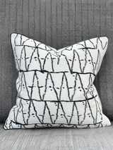 Viva015 White Velvet Pillow - Black Embroidered Abstract, Thick Border, 20" X 20" (1 Piece)