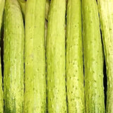 Korean Cucumber Seeds Non GMO Crisp Asian Variety for Home Gardening