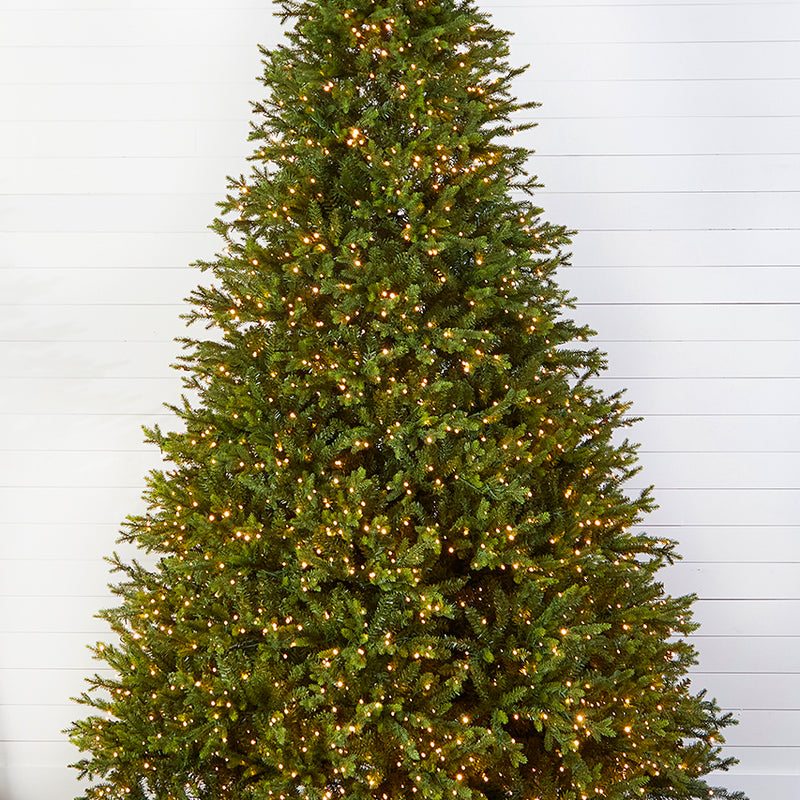 10' Southern Fir with 3000 3mm Lights