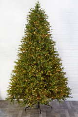10' Southern Fir with 3000 3mm Lights