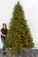 10' Southern Fir Tree 3000 LED Lights