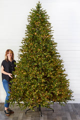 10' Southern Fir with 3000 3mm Lights